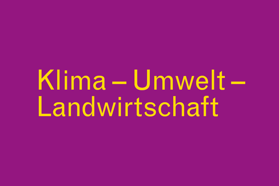 30. Oktober 2019 | 17 Uhr | Neustrelitz